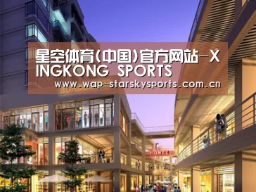 案例展示一(图1)