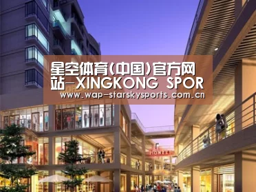 案例展示一