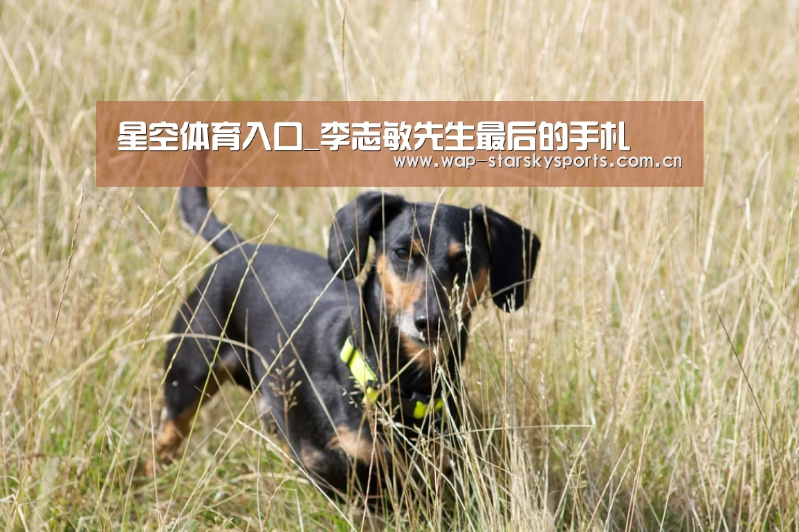 星空体育入口_李志敏先生最后的手札(图2) 星空体育
