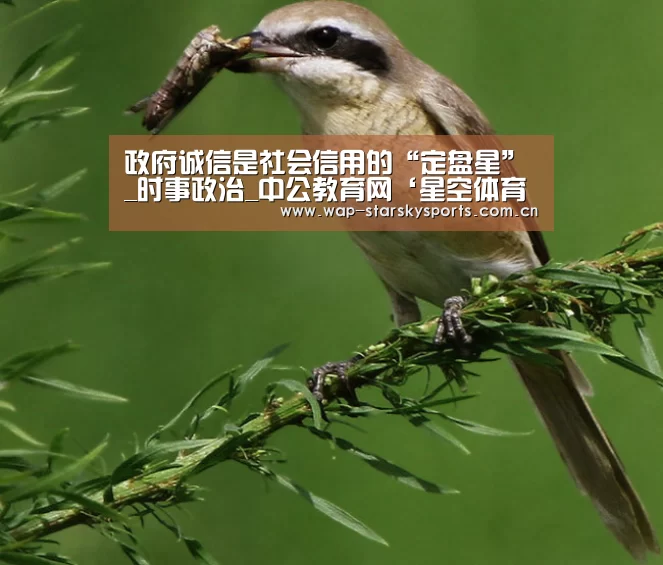 政府诚信是社会信用的“定盘星”_时事政治_中公教育网‘星空体育官网’(图3) 星空体育网址