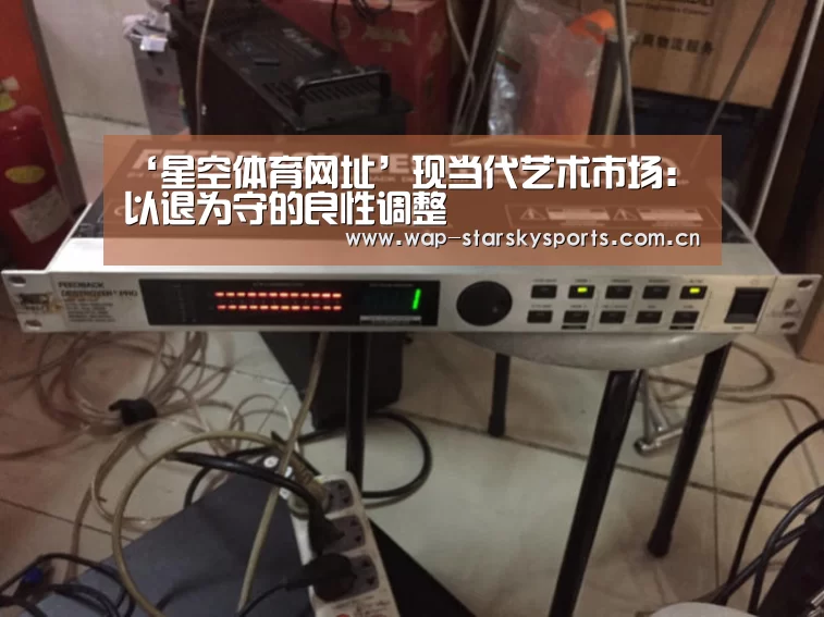 ‘星空体育网址’现当代艺术市场:以退为守的良性调整(图1) 星空体育入口